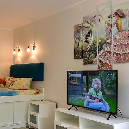 Stilingi Apartamentai Su Virtuve Traku Miesto Centre トラカイ エクステリア 写真