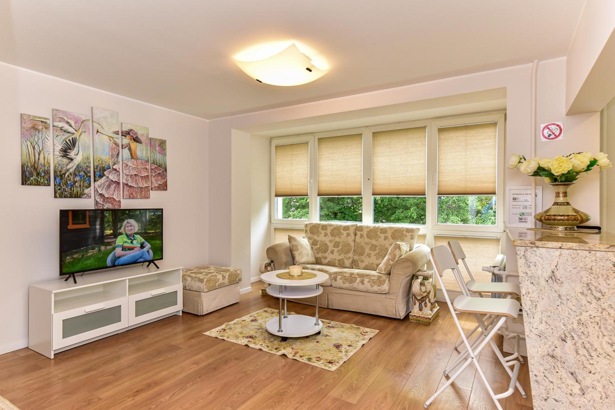 Stilingi Apartamentai Su Virtuve Traku Miesto Centre トラカイ エクステリア 写真