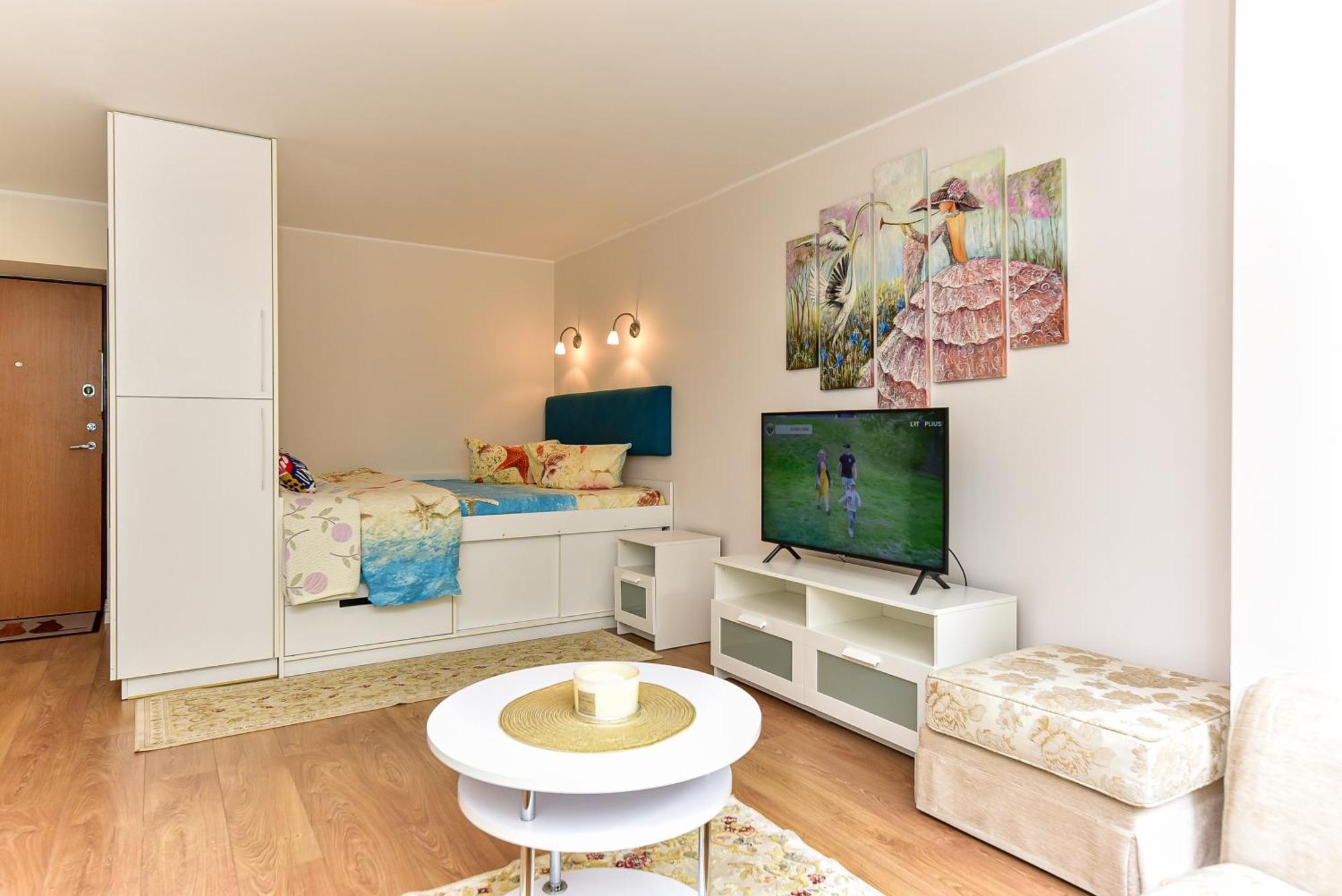 Stilingi Apartamentai Su Virtuve Traku Miesto Centre トラカイ エクステリア 写真