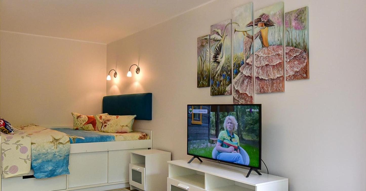 Stilingi Apartamentai Su Virtuve Traku Miesto Centre トラカイ エクステリア 写真