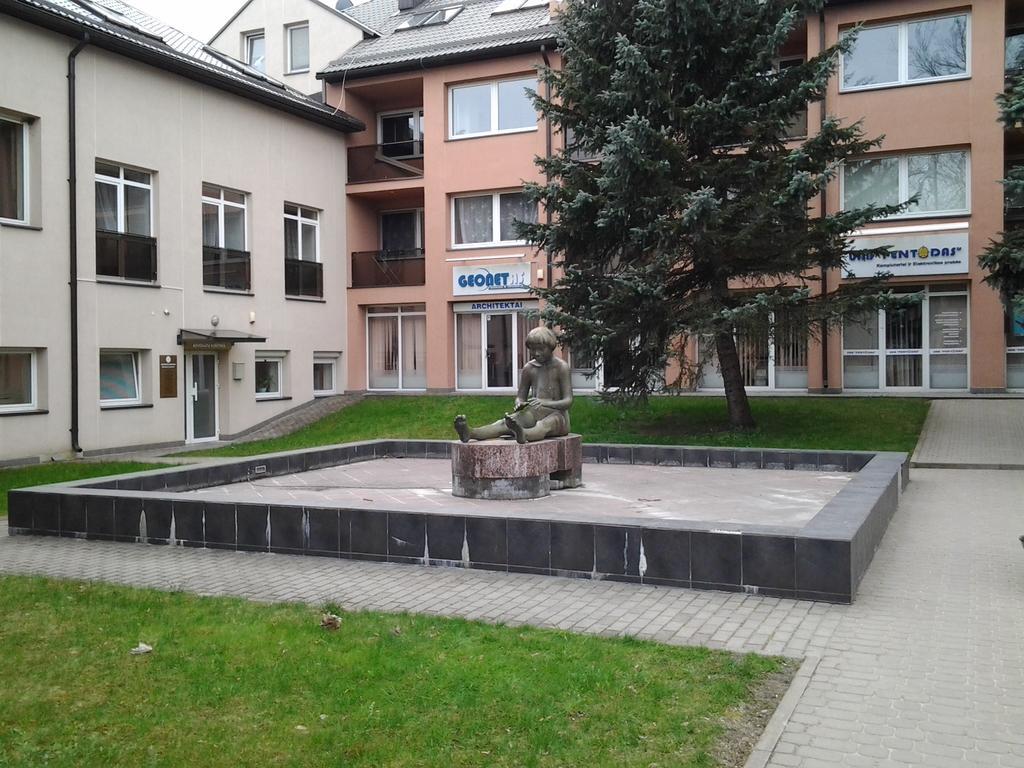 Stilingi Apartamentai Su Virtuve Traku Miesto Centre トラカイ エクステリア 写真