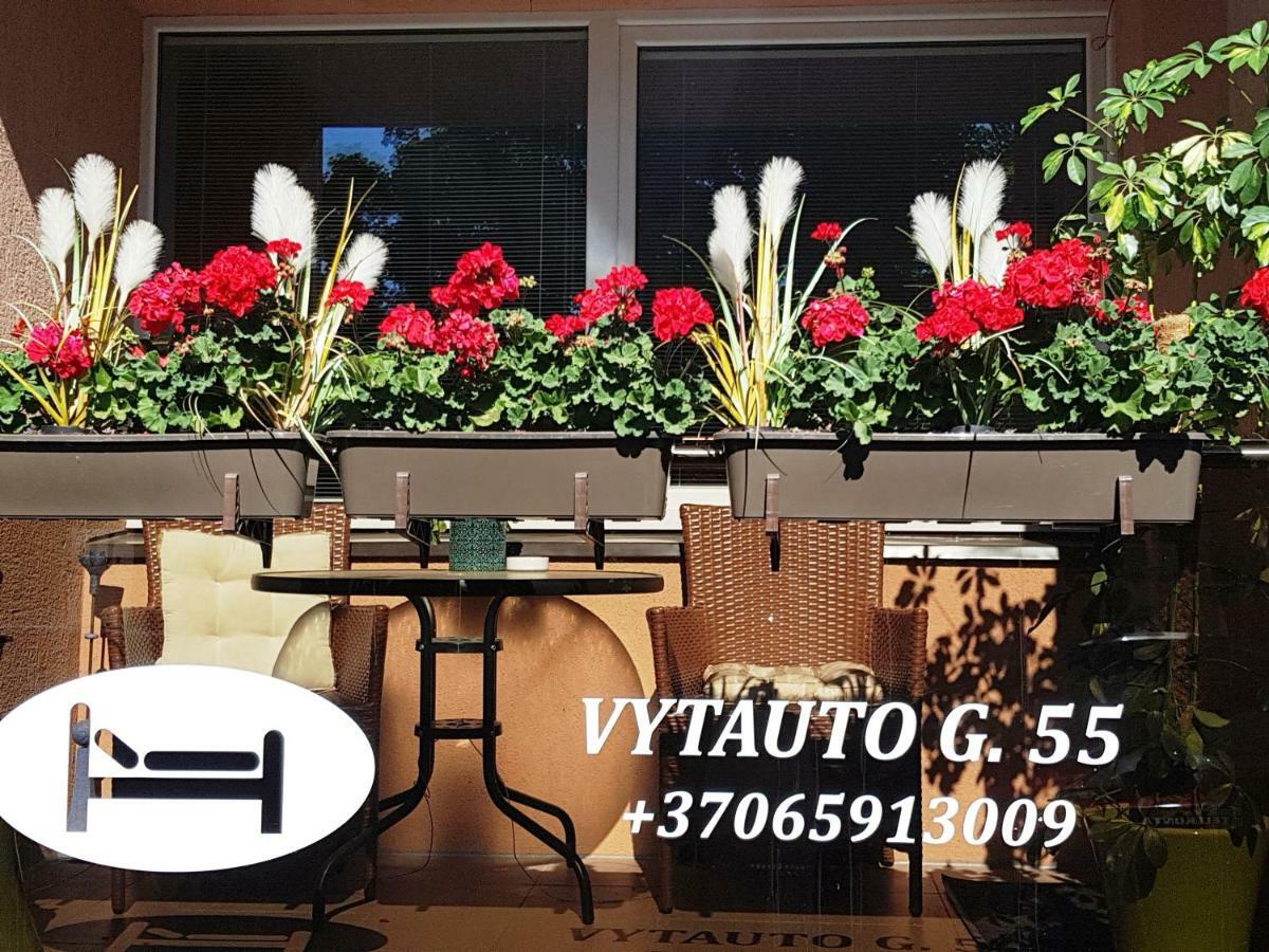 Stilingi Apartamentai Su Virtuve Traku Miesto Centre トラカイ エクステリア 写真