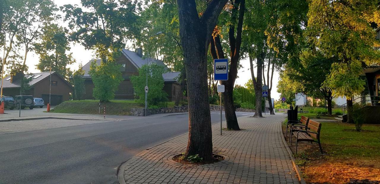 Stilingi Apartamentai Su Virtuve Traku Miesto Centre トラカイ エクステリア 写真