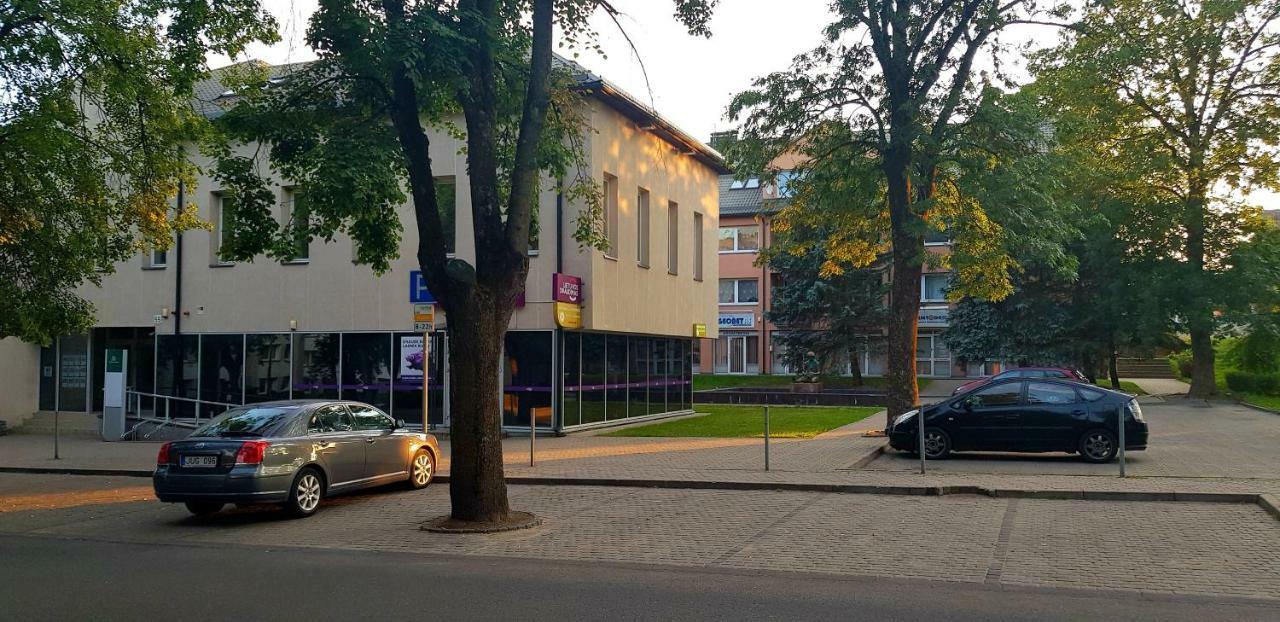 Stilingi Apartamentai Su Virtuve Traku Miesto Centre トラカイ エクステリア 写真